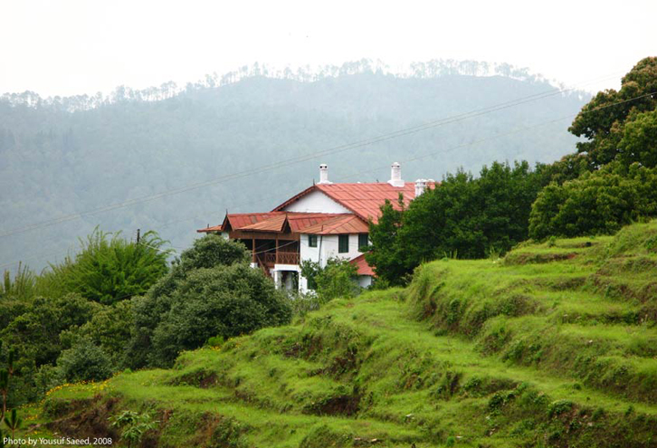 Ranikhet